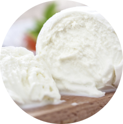 https://test.ocilento.com/wp-content/uploads/2023/02/Group-1829.png